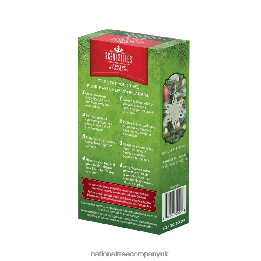 decoration | National Tree Company Scentsicles Scented Star Ornament White Winter Fir 2-Pack F2L4F543